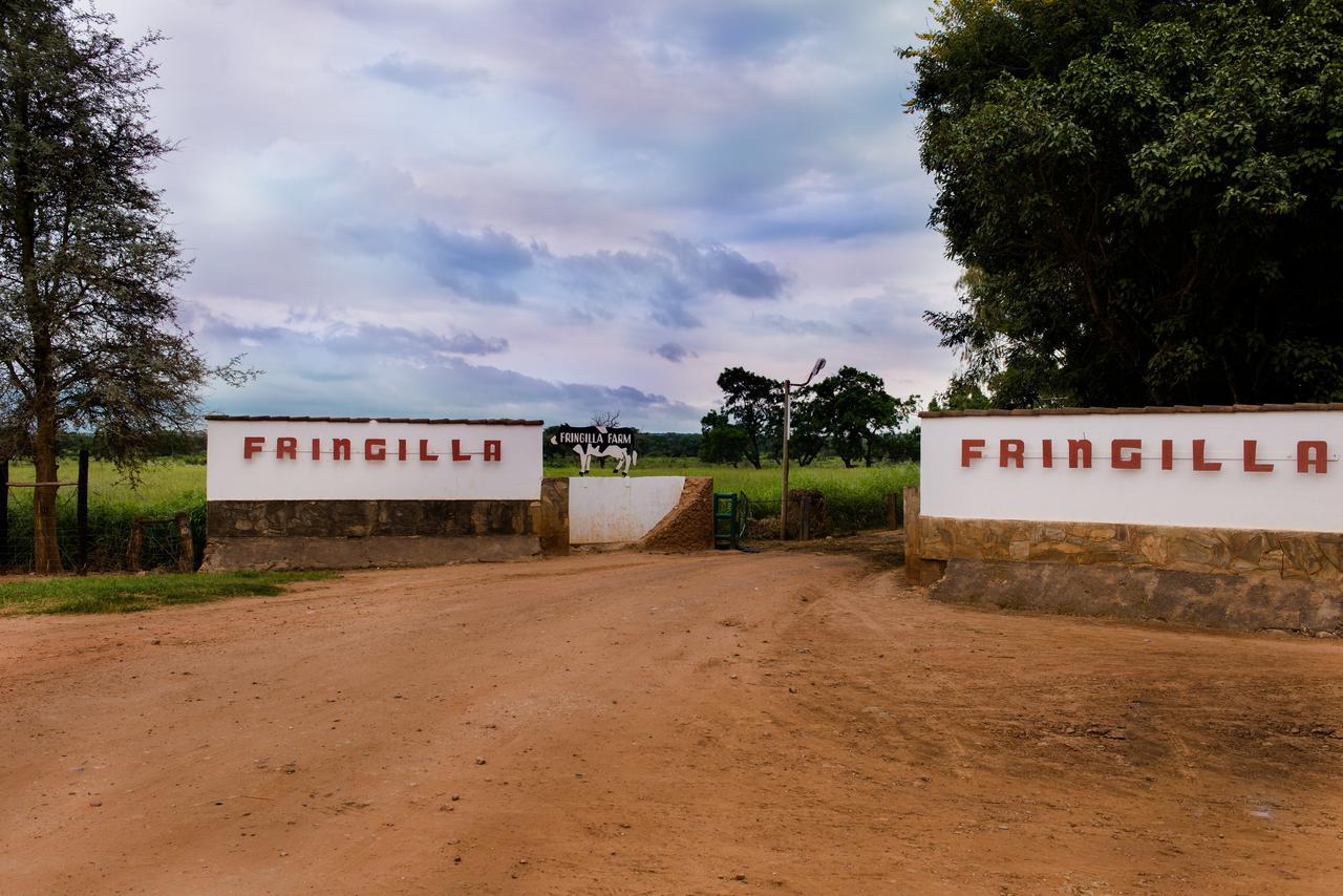 Fringilla Lodge Chisamba Екстериор снимка